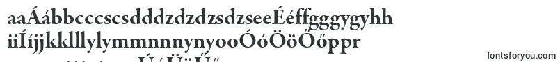 Шрифт GaramondpremrproBdsubh – венгерские шрифты