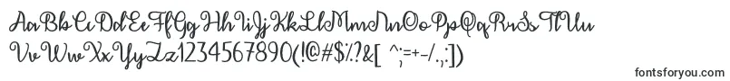 Шрифт December Calligraphy   – шрифты для Adobe Muse