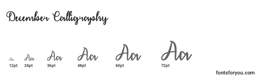 Размеры шрифта December Calligraphy  