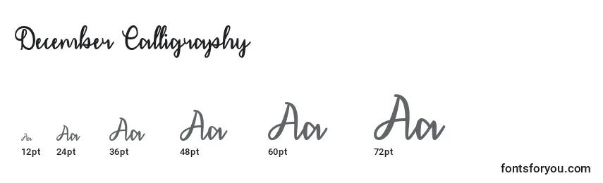 December Calligraphy   (124729) Font Sizes