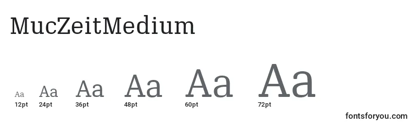 Размеры шрифта MucZeitMedium