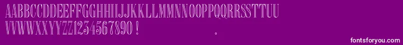 Delacorso Outlines D Font – White Fonts on Purple Background