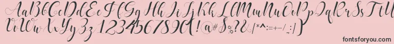 delaney Font – Black Fonts on Pink Background