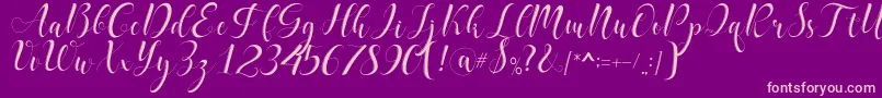 delaney Font – Pink Fonts on Purple Background