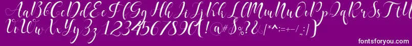 delaney Font – White Fonts on Purple Background