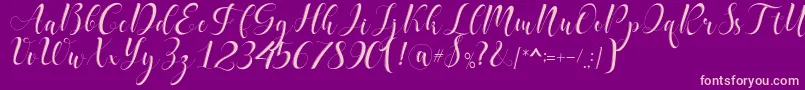 delaney Font – Pink Fonts on Purple Background