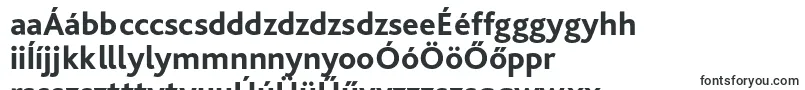 Шрифт BlissproExtrabold – венгерские шрифты