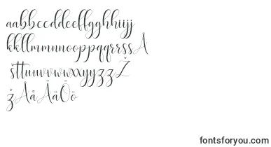 Delight Script font – finnish Fonts