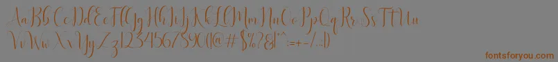 フォントDelight Script – 茶色の文字が灰色の背景にあります。