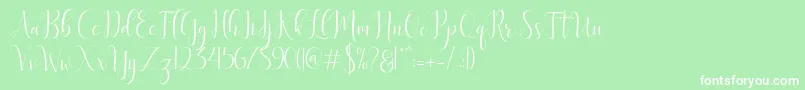 fuente Delight Script – Fuentes Blancas Sobre Fondo Verde