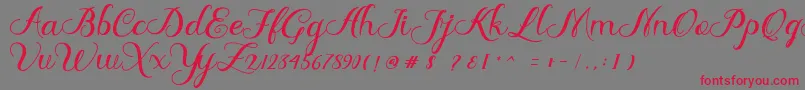 Delima Font – Red Fonts on Gray Background