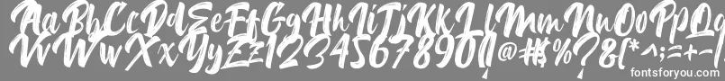 フォントDelimax – 灰色の背景に白い文字
