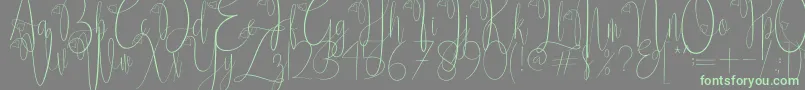 Police Delissa Script – polices vertes sur fond gris