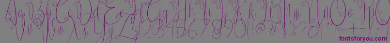 Delissa Script Font – Purple Fonts on Gray Background