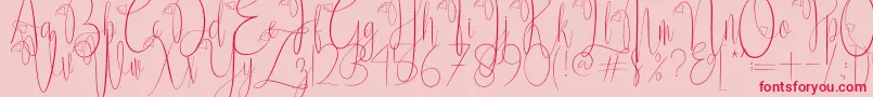 Delissa Scriptフォントについての詳細 フォントDelissa Script – ピンクの背景に赤い文字