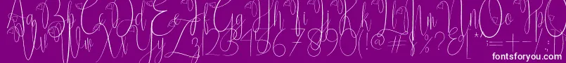 Delissa Script Font – White Fonts on Purple Background