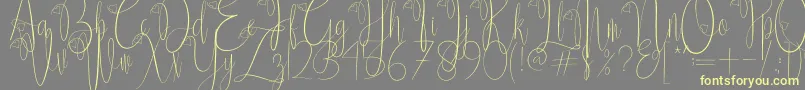 Delissa Script-fontti – keltaiset fontit harmaalla taustalla