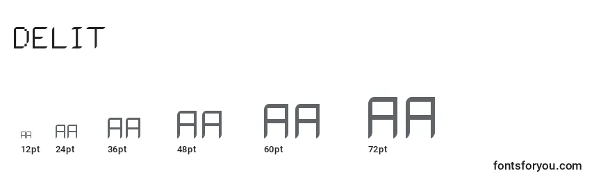 DELIT    (124823) Font Sizes