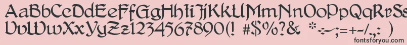 DelitschAntiqua Font – Black Fonts on Pink Background