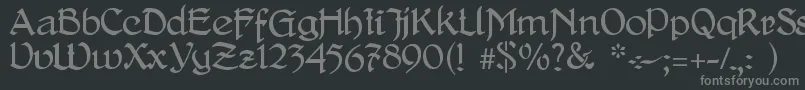 DelitschAntiqua Font – Gray Fonts on Black Background