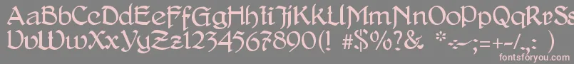 DelitschAntiqua Font – Pink Fonts on Gray Background