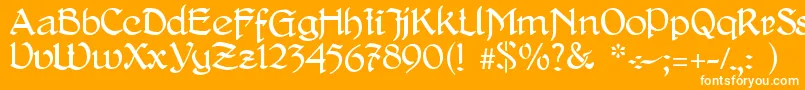 DelitschAntiqua Font – White Fonts on Orange Background