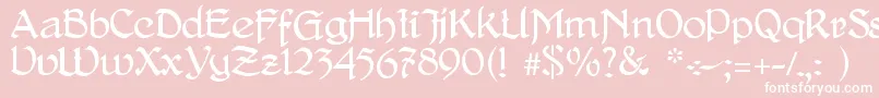 DelitschAntiqua Font – White Fonts on Pink Background