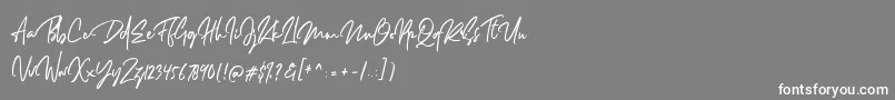 Dellamonde Font – White Fonts on Gray Background