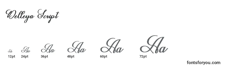 Размеры шрифта Delleya Script