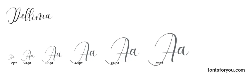 Размеры шрифта Dellima