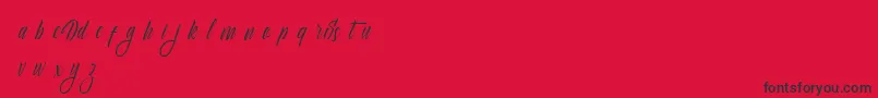 Saiba mais sobre a fonte Delphin Spring Fonte Delphin Spring – fontes pretas em um fundo vermelho