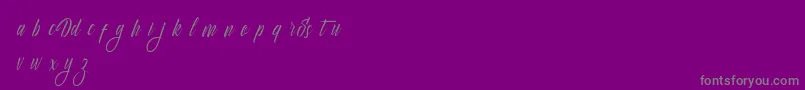 Delphin Spring-Schriftart – Graue Schriften auf violettem Hintergrund