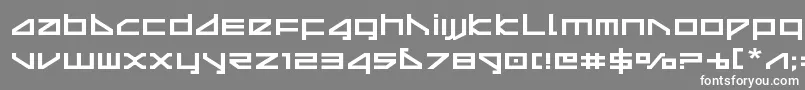 deltarayexpand-Schriftart – Weiße Schriften auf grauem Hintergrund