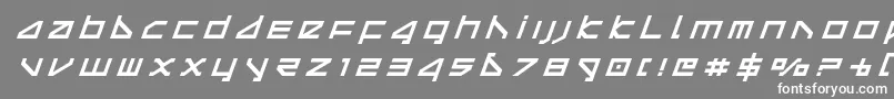 deltaraytitleital Font – White Fonts on Gray Background