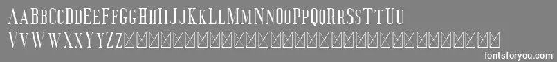 Deluce Font – White Fonts on Gray Background