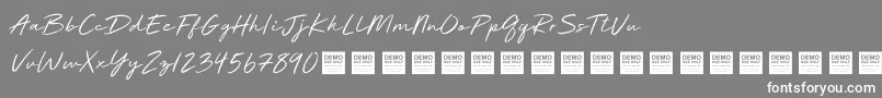 Deluxe Edition   Demo Font – White Fonts on Gray Background