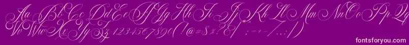 Demo Glaston Font – Pink Fonts on Purple Background