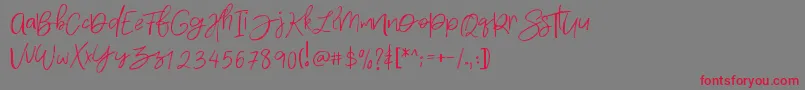 Densfort Font – Red Fonts on Gray Background