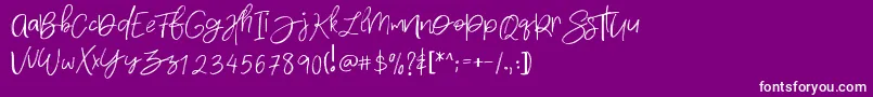 Densfort Font – White Fonts on Purple Background