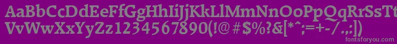 フォントRaleighserialBold – 紫の背景に灰色の文字