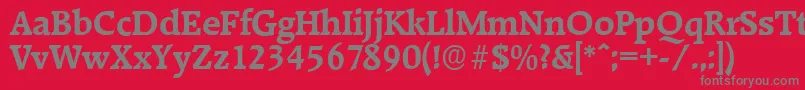 RaleighserialBold Font – Gray Fonts on Red Background