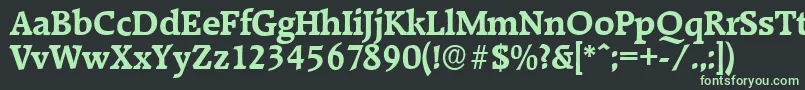 RaleighserialBold Font – Green Fonts on Black Background