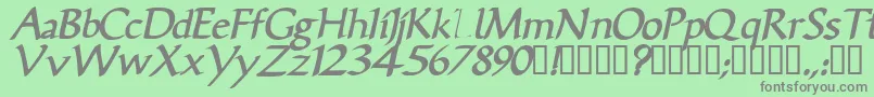 VicisskBolditalic Font – Gray Fonts on Green Background