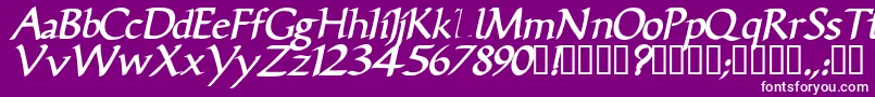 VicisskBolditalic Font – White Fonts on Purple Background