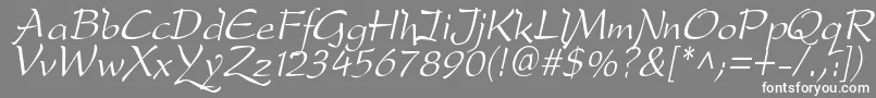 フォントdfdro  i – 灰色の背景に白い文字