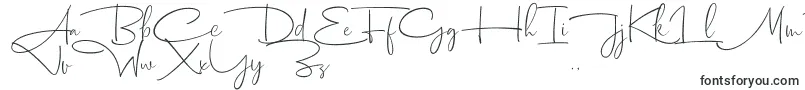 Шрифт Dhanikans Signature 2 dafont – шрифты для Corel Draw