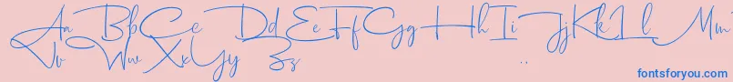 Dhanikans Signature 2 dafont-Schriftart – Blaue Schriften auf rosa Hintergrund