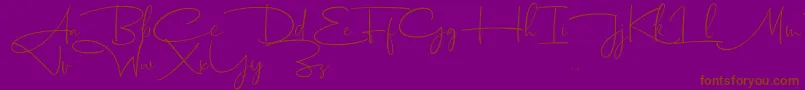 Dhanikans Signature 2 dafont-Schriftart – Braune Schriften auf violettem Hintergrund