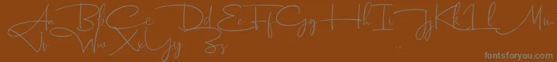 フォントDhanikans Signature 2 dafont – 茶色の背景に灰色の文字