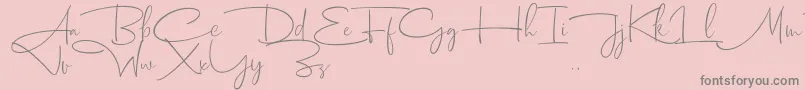 Dhanikans Signature 2 dafont Font – Gray Fonts on Pink Background